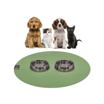 Ein Golden Retriever, ein flauschiges weißes Kätzchen und eine schwarze Katze sitzen vor zwei Edelstahlnäpfen auf einer grünen Matte mit dem Logo 'Sanozoo.'