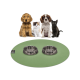 Ein Golden Retriever, ein flauschiges weißes Kätzchen und eine schwarze Katze sitzen vor zwei Edelstahlnäpfen auf einer grünen Matte mit dem Logo 'Sanozoo.'