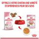 Image de nourriture pour chat Royal Canin : un sac de croquettes, un bol rouge de croquettes, et un sachet de nourriture humide avec un texte sur les expériences sensorielles pour les chatons.