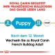 Royal Canin Leitfaden für Französische Bulldoggen, der "Welpe" für 2 Monate und "Erwachsen" nach 12 Monaten angibt, mit einem Überghinweis.