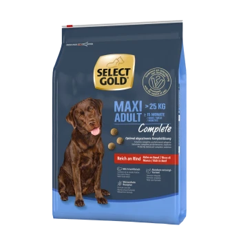 Hundefutterbeutel mit einem braunen Labrador Retriever, beschriftet mit 'SELECT GOLD MAXI ADULT' für Hunde über 25 kg, reich an Rindfleisch.