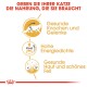 Maine Coon Adult in Soße 12x85 g