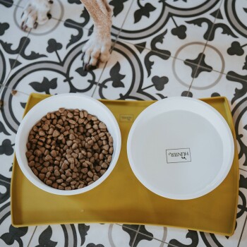 Top-Down-Ansicht einer Futterstation für Haustiere mit einer weißen Schüssel mit Hundefutter und einer leeren Wasserschüssel auf einer gelben Matte, mit einer Hundepfote sichtbar.