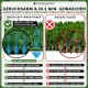 Pfotenwunder-Anzeige: „Geruchsarm & in 2 Min. Gewaschen“ zeigt Unser Easy‑Wash‑Rasen (Wasser läuft ab, grüner Haken) vs. Andere Rasen (rotes X).