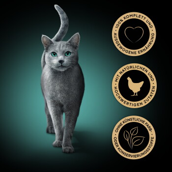 Graue Katze mit grünen Augen; drei goldene Abzeichen über vollständige Ernährung, natürliche Inhaltsstoffe, keine künstlichen Farbstoffe/Konservierungsstoffe.