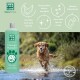 Eine Flasche MEN FOR SAN Aloe Vera Shampoo für Hunde, mit einem golden retriever, der fröhlich durch Wasser läuft, im Hintergrund.