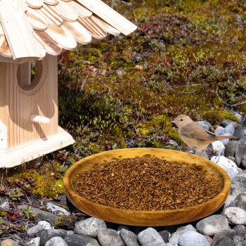 Ein Holzvogelhaus neben einem Teller mit Vogelfutter auf steinigem Boden, mit einem kleinen braunen Vogel in der Nähe.
