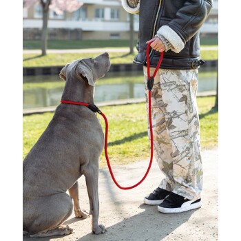 Eine Frau in einer blauen Jacke und schwarzen Leggings hält eine rote Hundeleine und schaut auf ihren sitzenden Hund in einem bewaldeten Gebiet.