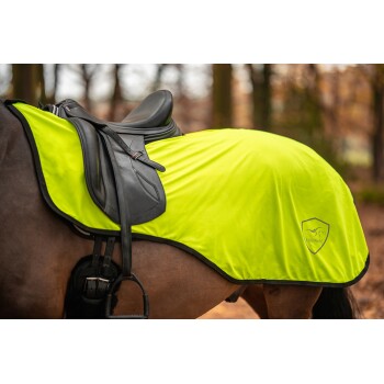 Nahaufnahme eines Pferdes, das ein hell neon-gelbes Sattelpad mit einem schwarzen Sattel trägt, vor einem verschwommenen Waldhintergrund.