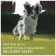 Ein glücklicher Hund, der in einem grasbewachsenen Feld läuft, mit dem Text "PROTEINREICH, NÄHRSTOFFBALANCIERT, LECKERER GESCHMACK!" am unteren Rand.