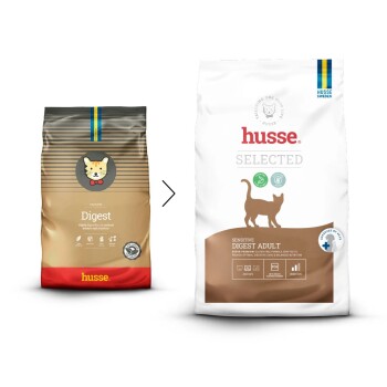 Eine Nahaufnahme einer Katze mit verschwommenem Hintergrund, umgeben von Symbolen und Text, der die Zutaten hervorhebt: Yucca, Taurin und Klinoptilolith.