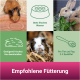 Bild von kleinen Haustieren mit dem Text: "Empfohlene Fütterung." Zeigt ein Meerschweinchen und Kaninchen, die Grünfutter fressen, plus Symbole für Wasser und Heu.