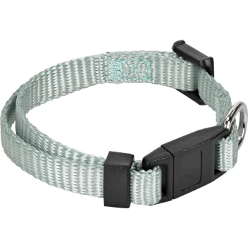 Hellblaue Haustierhalsband mit einer schwarzen Schnalle und einem metallischen D-Ring zur Leinenbefestigung, mit einem gewebten Design.