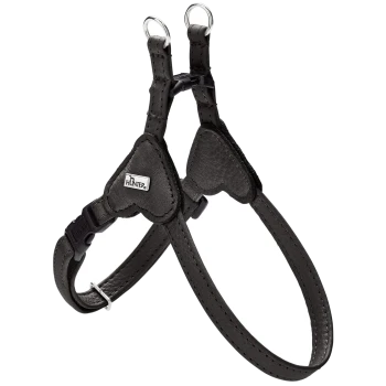 Schwarzes Lederhundegeschirr mit herzförmigen Brustpolstern, Metallringen, Schnalle und Metallanhänger mit 'HUNTER'-Logo.