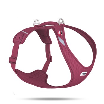 Bordeauxrotes Hundegeschirr mit gepolsterten Riemen, Metall-D-Ringen und reflektierenden Streifen, beschriftet mit "EzyDog" und "Air Mesh".