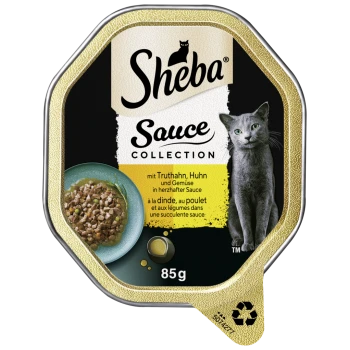 Sheba Sauce Collection Katzenfutterverpackung mit einer grauen Katze, einer Schüssel mit gewürfeltem Truthahn und Gemüse in Sauce sowie Text auf Deutsch.