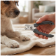 Main tenant un coupe‑ongles pour animaux gris près de la patte d'un petit chien brun et blanc sur une couverture dans un salon.