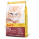 Eine Tüte Josera Kittenfutter mit einem flauschigen orangefarbenen Kätzchen. Höhepunkte: "Leicht verdaulich", "Anti-Haarball", "Haut & Fell" und "35/22" Protein/Fett.