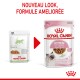 Kitten en sauce 12x85 g