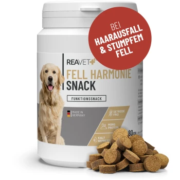 Behälter mit REAVET Fell Harmonie Snack für Hunde, mit einem Bild eines Golden Retrievers, mit einem roten Etikett, das "Bei Haarausfall & stumpfem Fell" angibt.