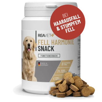 Behälter mit REAVET Fell Harmonie Snack für Hunde, mit einem Bild eines Golden Retrievers, mit einem roten Etikett, das "Bei Haarausfall & stumpfem Fell" angibt.
