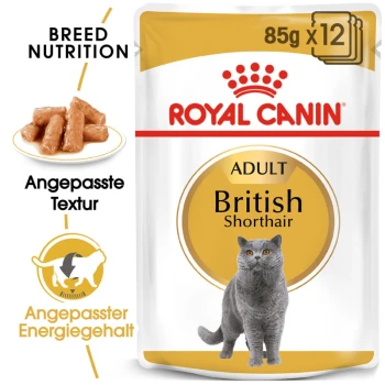 British Shorthair Adult in Soße 12x85 g Royal Canin Adult British Shorthair Katzenfutterverpackung, mit einer grauen Katze, mit Text, der die Rassenernährung und den Energiegehalt hervorhebt.