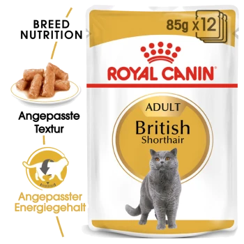 Royal Canin Adult British Shorthair Katzenfutterverpackung, mit einer grauen Katze, mit Text, der die Rassenernährung und den Energiegehalt hervorhebt.