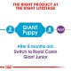 Infographic showing feeding guidelines for giant puppies, indicating "GIANT Puppy" for 2 months and "Giant Junior" after 8 months.