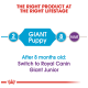 Infographic showing feeding guidelines for giant puppies, indicating "GIANT Puppy" for 2 months and "Giant Junior" after 8 months.
