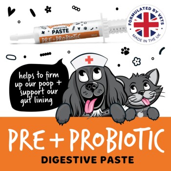 PRE+PROBIOTIC Verdauungspastentube; cartoonhafter Krankenpfleger-Hund und -Katze; Sprechblase 'hilft, unseren Kot zu festigen'; Siegel britischer Tierärzte