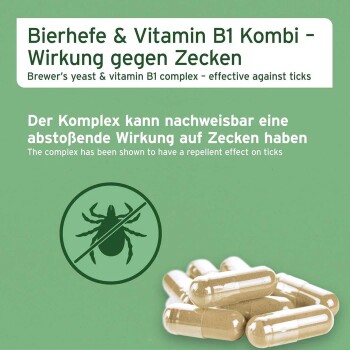 Grünes Etikett: „Bierhefe & Vitamin B1 Kombi – Wirkung gegen Zecken“ mit durchgestrichenem Zecken-Symbol und beigen Nahrungsergänzungskapseln.