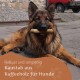 Ein Deutscher Schäferhund ruht auf einem Stein und kaut auf einem Stock. Der Text lautet: "Robust und langlebig, Kaustab aus Kaffeeholz für Hunde."
