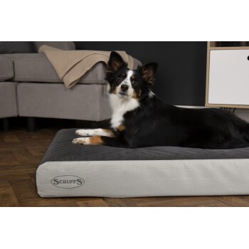 Ein schwarz-brauner Hund liegt bequem auf einem Scruffs-Hundebett, mit einem gemütlichen grauen Sofa und einer dekorativen Decke im Hintergrund.