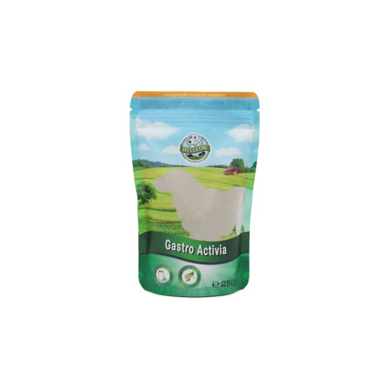 Bellfor Gastro Activia Pulver - 250g