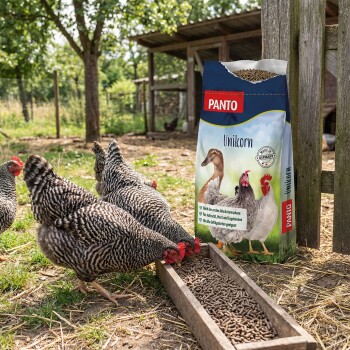 Schwarz-weiß gestreifte Hühner auf Gras nahe einem Stall mit einem PANTO Unikorn Geflügelfutterbeutel.