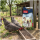Schwarz-weiß gestreifte Hühner auf Gras nahe einem Stall mit einem PANTO Unikorn Geflügelfutterbeutel.