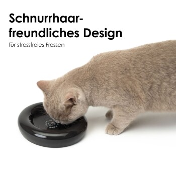 Eine hellgraue Katze schnüffelt an einer schwarzen, runden Haustierschüssel, die mit "Schnurrhaar-freundliches Design für stressfreies Fressen" beschriftet ist.