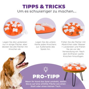 Bild eines Hundespielzeugs-Puzzles mit orangefarbenem Boden und weißen, knochenförmigen Teilen, mit Tipps auf Deutsch, um es für Hunde herausfordernder zu machen.
