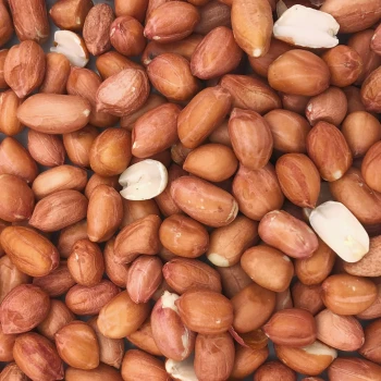 Erdnüsse rot mit Haut - Top Erdnusskerne Vogelfutter Wildvogelfutter Fettfutter 2,5 kg