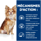 Petit chien brun et blanc assis à côté d'un texte en français décrivant la technologie triple action des fibres, des croquettes uniques et une nutrition équilibrée.