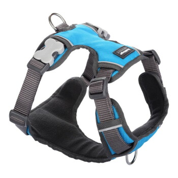 Blaues und graues Hundegeschirr mit verstellbaren Riemen und einem Metall-D-Ring zur Leinenbefestigung.