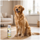 Golden retriever (face blurred) sitting indoors beside a 125 ml bottle labeled "SUPPORT" pet grooming serum