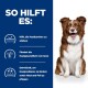 Ein braun-weißer Hund auf einem blauen Hintergrund hebt die Vorteile für die Hautgesundheit hervor: "Stärkt die Barriere", "Fördert die Gesundheit", "Lindert Probleme."