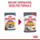 Twee Royal Canin kattenvoerzakjes: "Intense Beauty" links, "Hair & Skin" rechts, met een rode pijl en tekst over verpakking en voordelen.