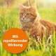 Eine rote Katze sitzt auf einer grasbewachsenen Fläche, während Sonnenlicht durchfiltert. Ein orangefarbener Kreis am unteren Rand liest 'Mit repellierender Wirkung.'