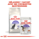 Emballage Royal Canin montrant un sac de nourriture sèche pour chats stérilisés réguliers et un sachet de nourriture humide stérilisée de 85 g, promouvant le mélange des deux.