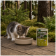 Grauweißes Kätzchen trinkt aus einer Schale neben einer Dose mit der Aufschrift 'WILDERNESS KITTEN' in einer Waldumgebung.