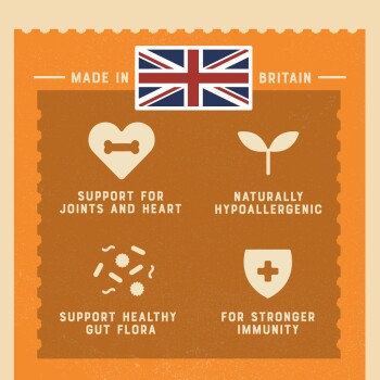 Infographic with a British flag and icons highlighting joint and heart support, hypoallergenic properties, gut health, and immunity.