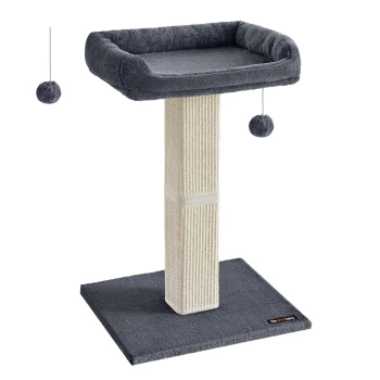 Grau Katzenbaum mit einem plüschigen oberen Platz, sisalummanteltem Pfosten und baumelnden Pompons zum Spielen.