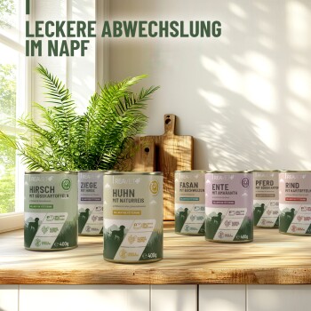 Dosen mit Haustierfutter, die mit verschiedenen Fleischsorten wie Reh, Huhn und Ente beschriftet sind, auf einem Holztisch mit einer Pflanze im Hintergrund ausgestellt.